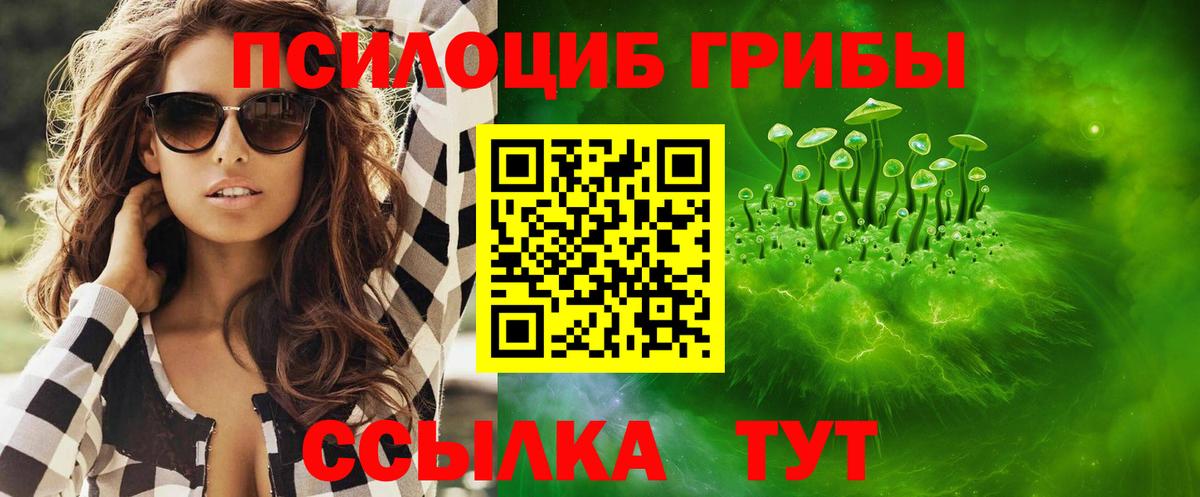 Галлюциногенные грибы Cubensis Кунгур