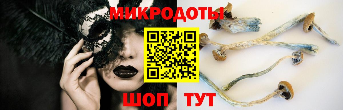 Кунгур  Псилоцибиновые грибы ЛСД  Вход с VPN  Псилоцибиновые грибы MAGIC MUSHROOMS 