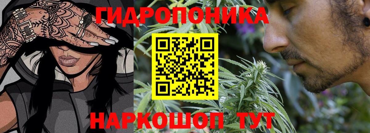 Конопля семена Кунгур